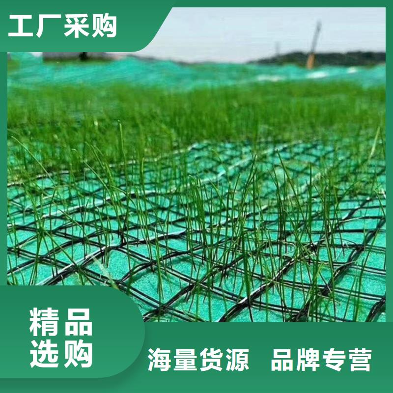 植物生态防护毯-椰丝环保草毯