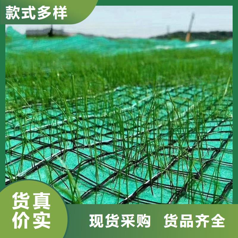 椰丝植生毯-抗冲加筋生态毯-护坡植物纤维毯