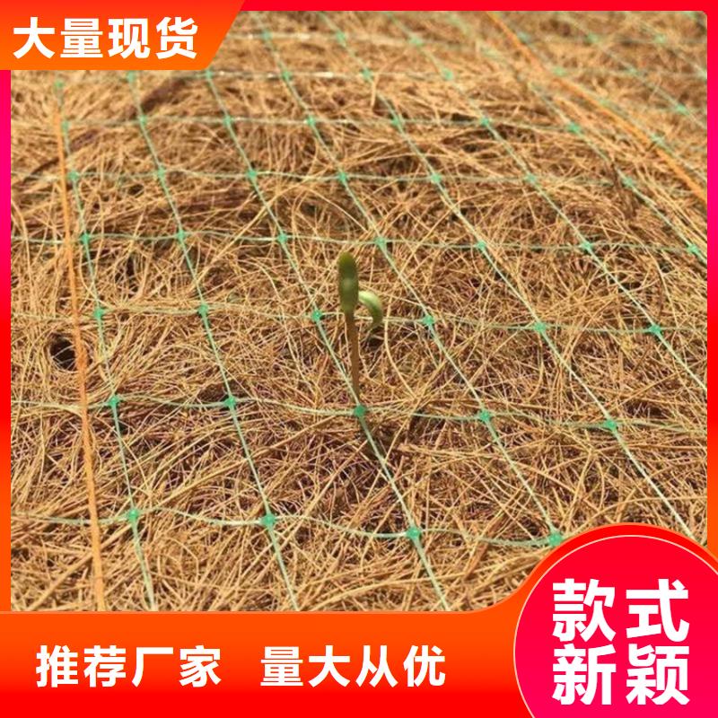 植物纤维毯-植草椰丝毯-生态草毯
