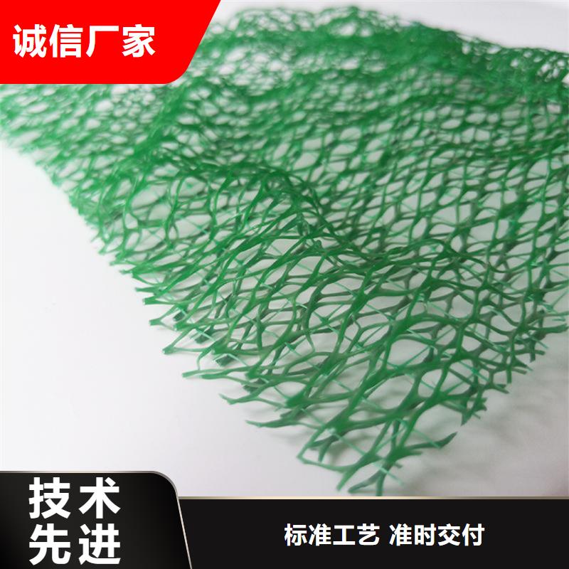 三维加筋网垫-边坡三维植被网