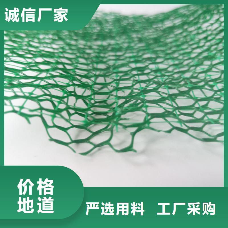 EM2三维植被网-三维固土网垫