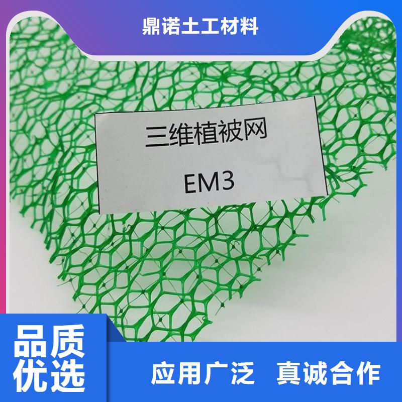 EM5三维护坡植草网垫-绿色三维土工网垫