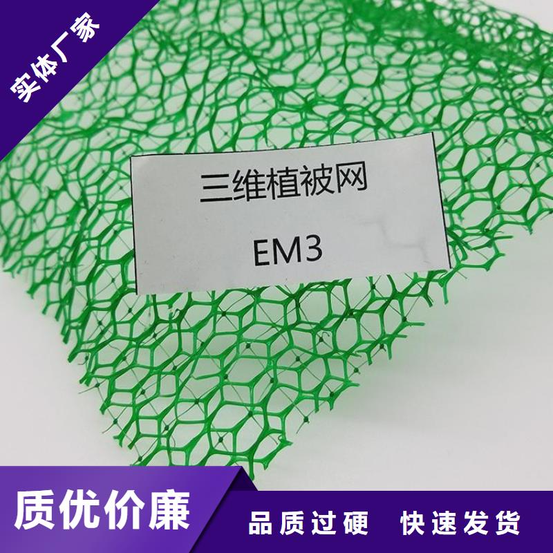 加筋EM3加筋护坡植草网垫