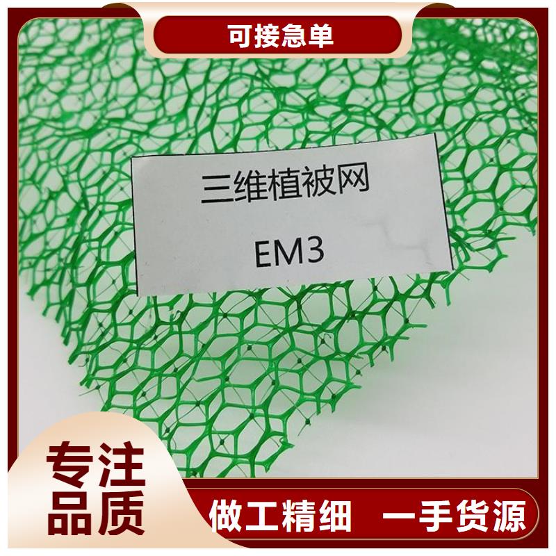 EM2三维植被网-护坡三维土工网垫