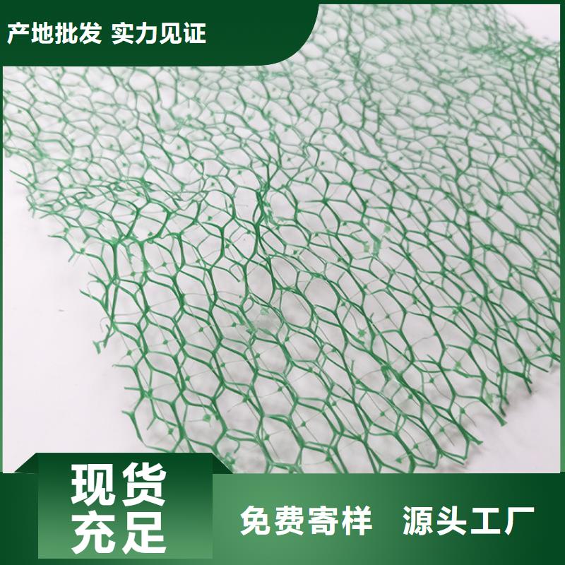 三维固土网垫EM2三维植被网