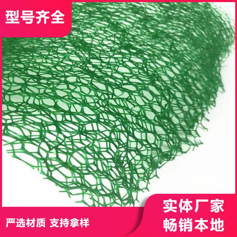 三维植被网-EM3三维土工网垫
