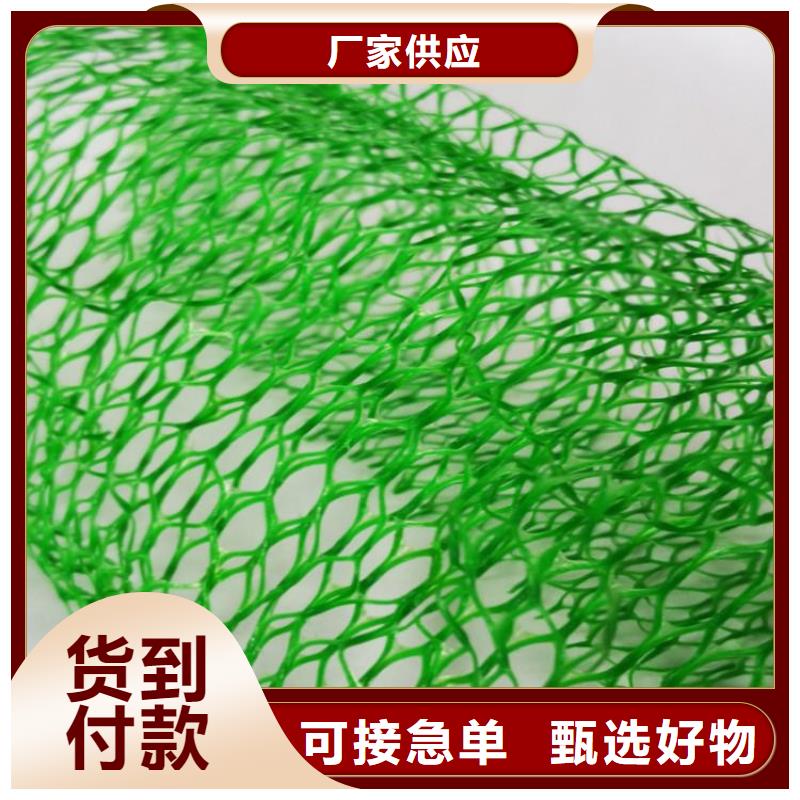 三维植被网-EM5三维护坡植草网垫