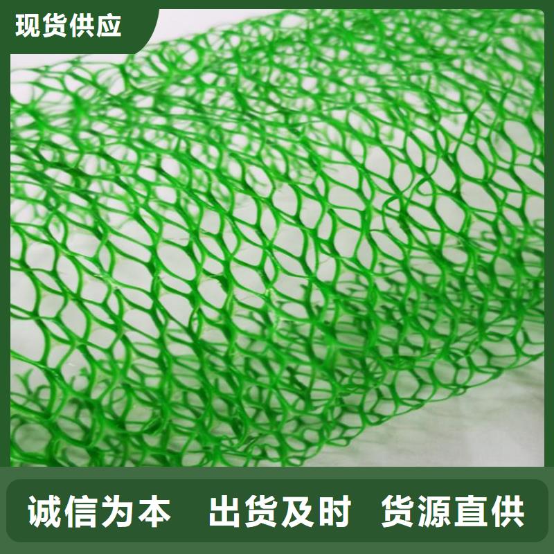 三维加筋网垫-三维网垫