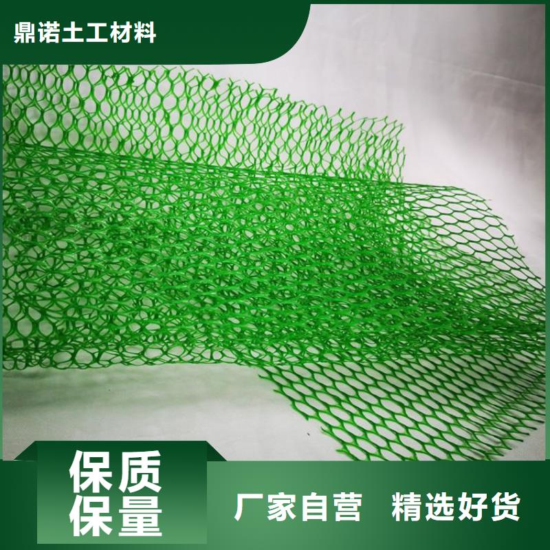 三维植被网HDPE土工膜优质工艺