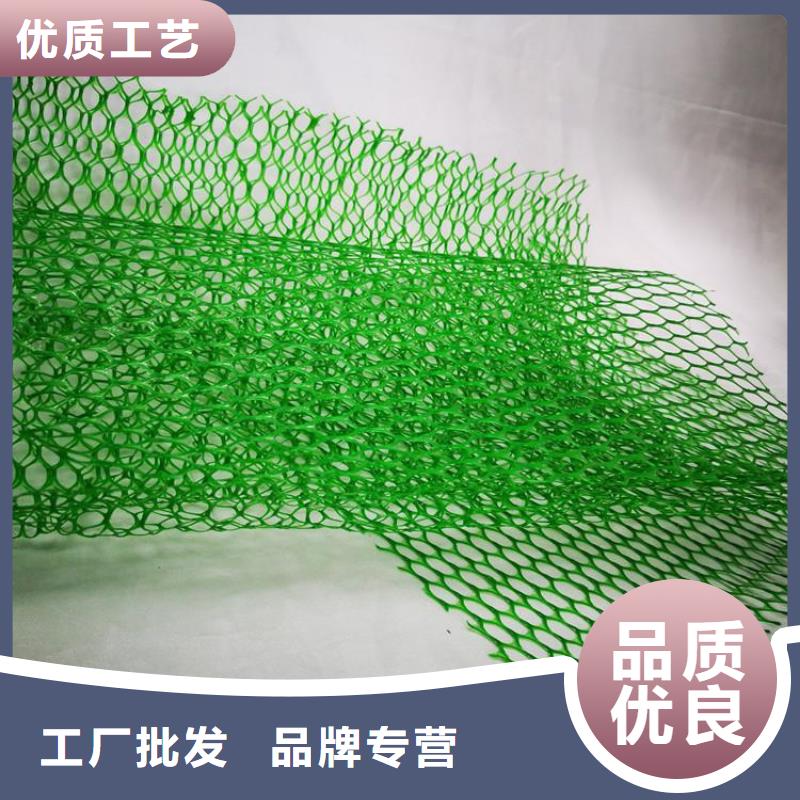 三维植被网硬式透水管质量优价格低