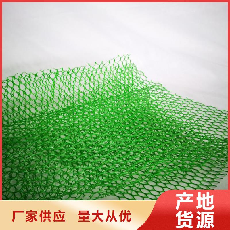 EM5塑料加筋护坡植草网垫