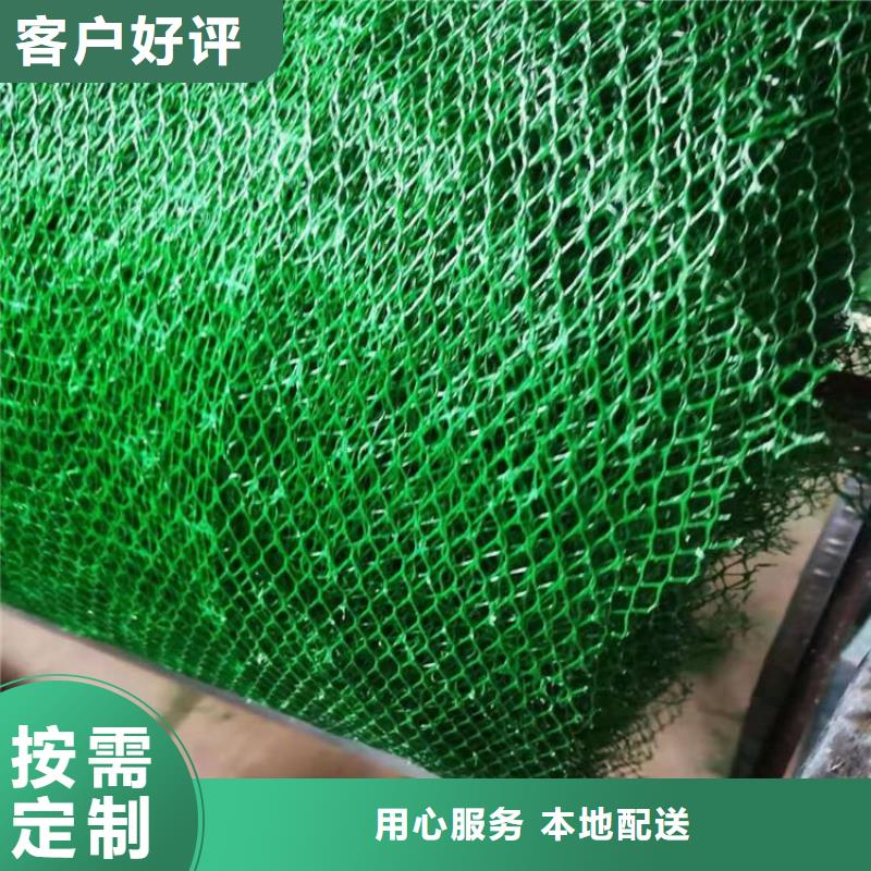 三维植草网垫固土EM2