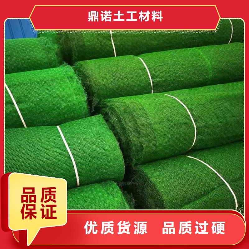 三维固土网垫EM5三维护坡植草网垫