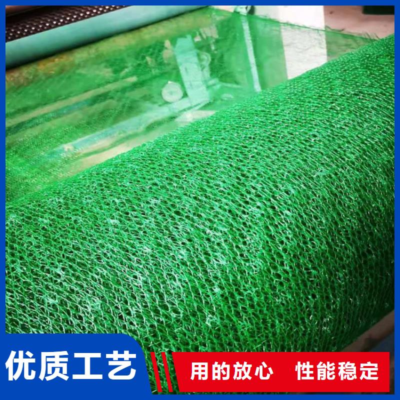三维加筋网垫-边坡三维植被网