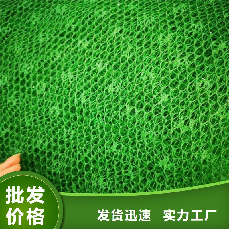 EM3三维加筋网垫-护坡三维植被网