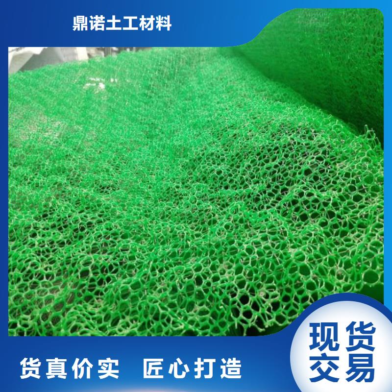 EM5绿化加筋护坡植草网垫
