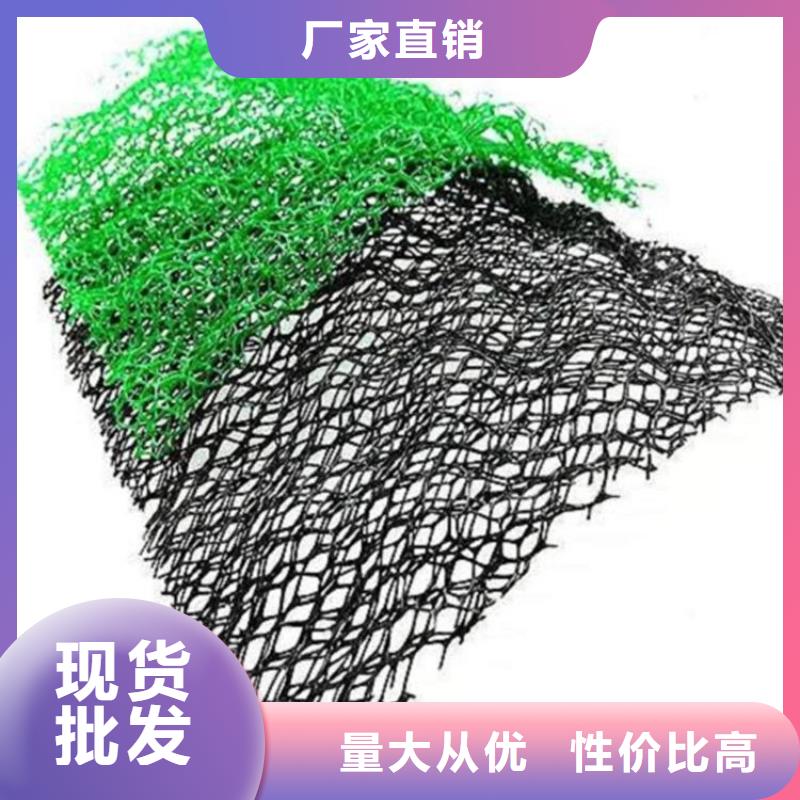 三维固土网垫-EM4三维土工网垫