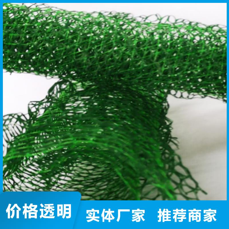 EM2三维植被网-三维固土网垫