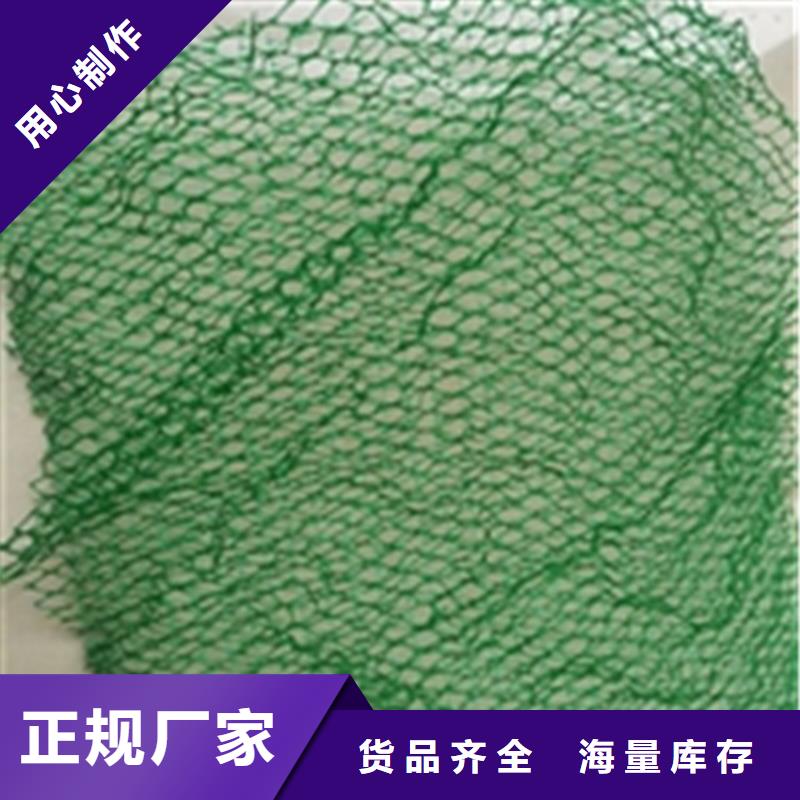 三维土工网垫-三维固土网垫