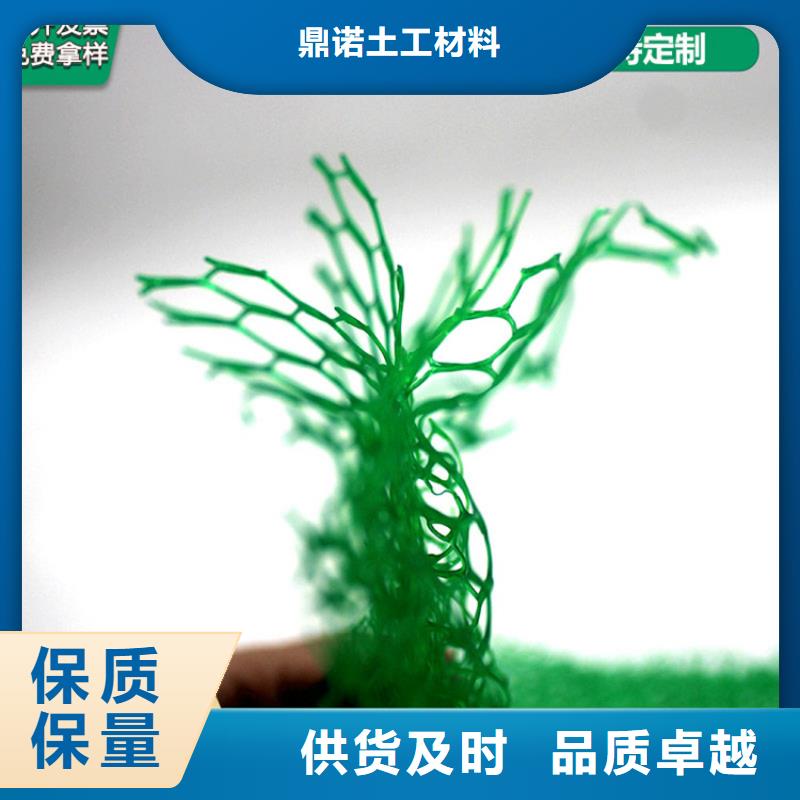 EM5三维护坡植草网垫-绿色三维土工网垫