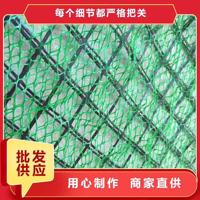 EM3三维土工网垫-三维网植草护坡