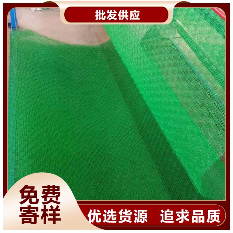EM4三维固土网垫-绿色三维土工网垫