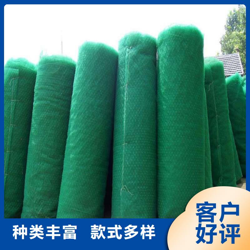 EM5三维护坡植草网垫-绿色三维土工网垫