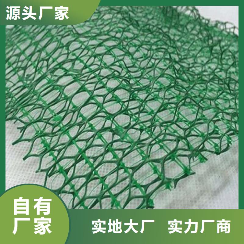 绿化塑料三维土工网垫