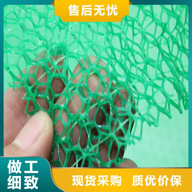 绿化塑料三维土工网垫