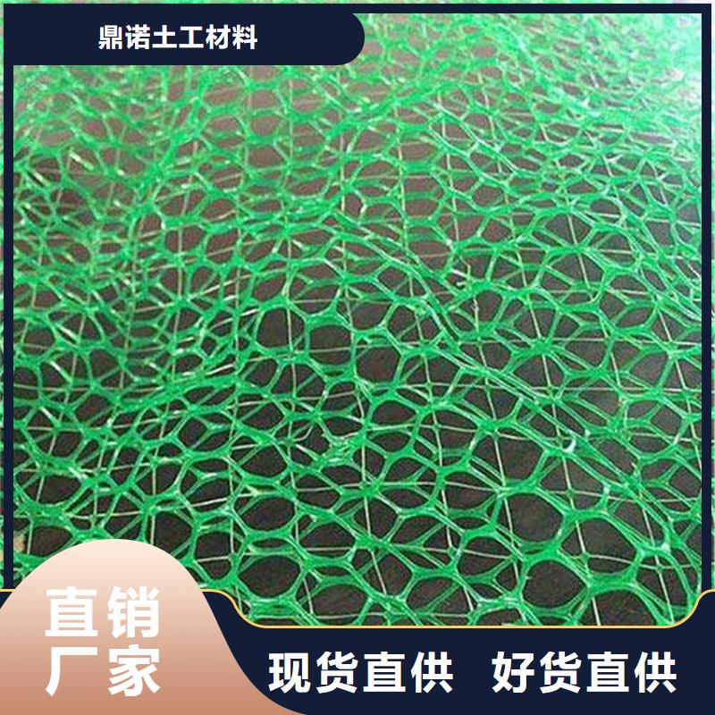 EM2三维植被网-护坡三维土工网垫