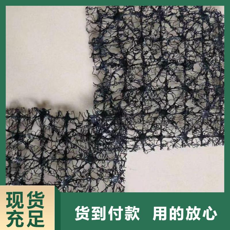 水土保护毯【三维植被网】大厂生产品质