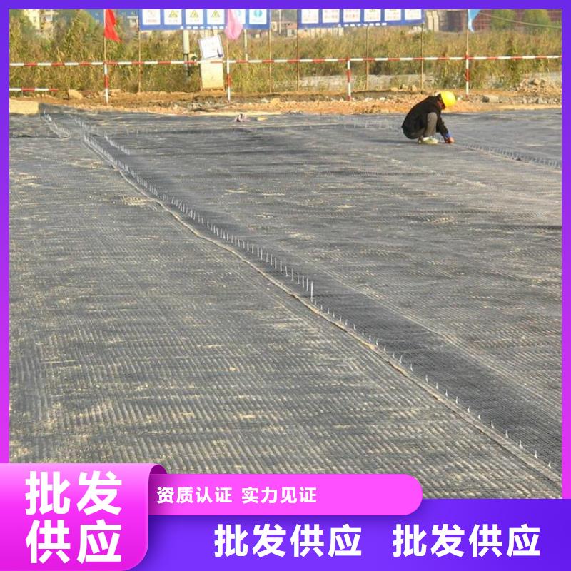 玻纤格栅-TGSG双向塑料土工格栅-养殖土工格栅