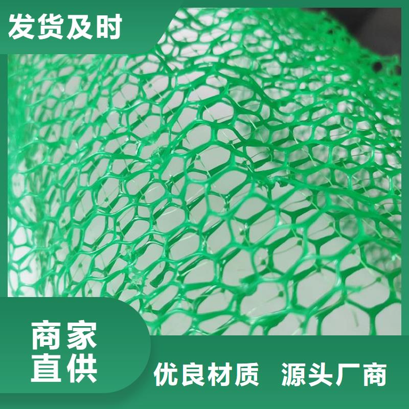 护坡加筋网垫-绿色三维植被网