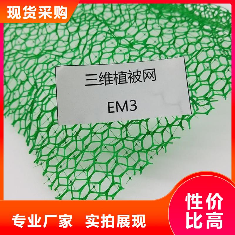 三维土工网垫-EM3三维植被网