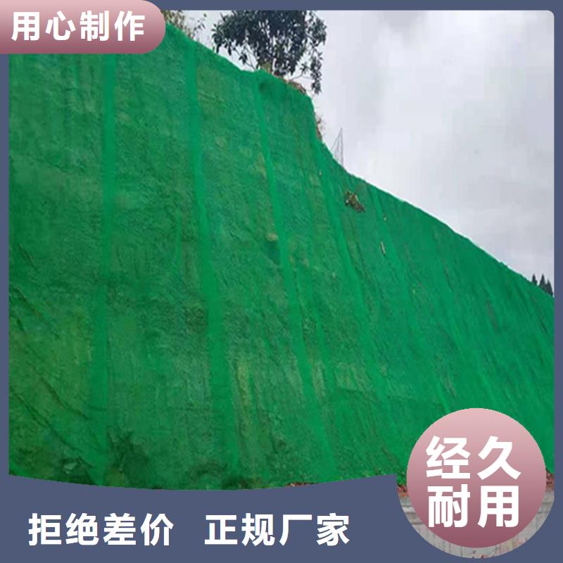 护坡加筋网垫-3层4层三维植被网公司-厂家销售