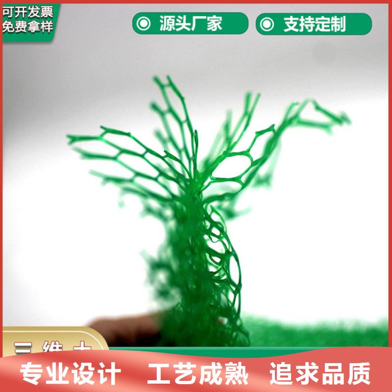 三维植被网价格低