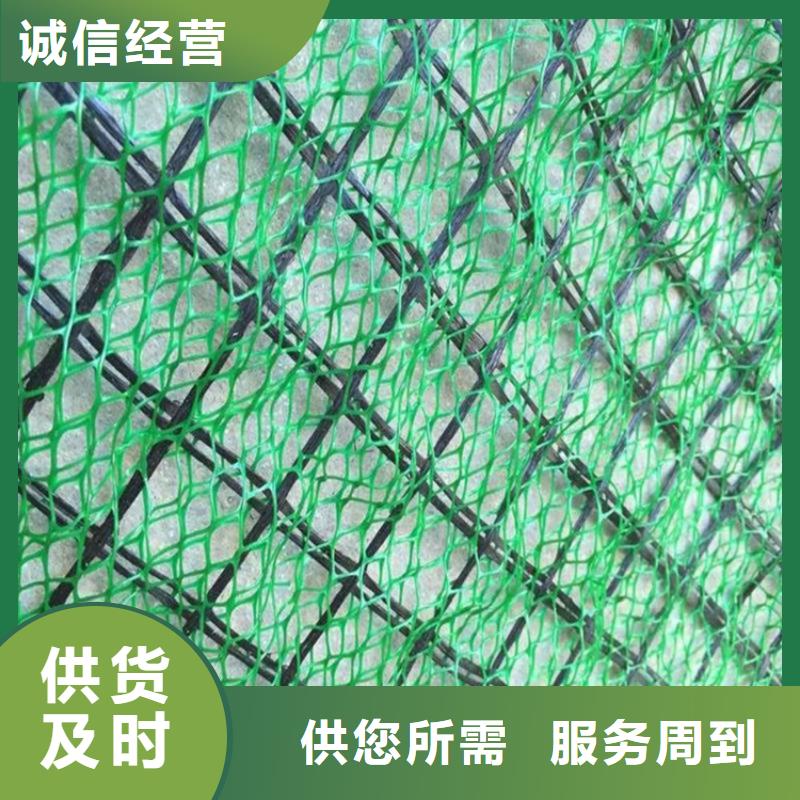 三维土工网垫-3层4层三维植被网