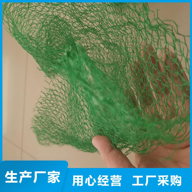 【三维植被网】,软式透水管质量安全可靠