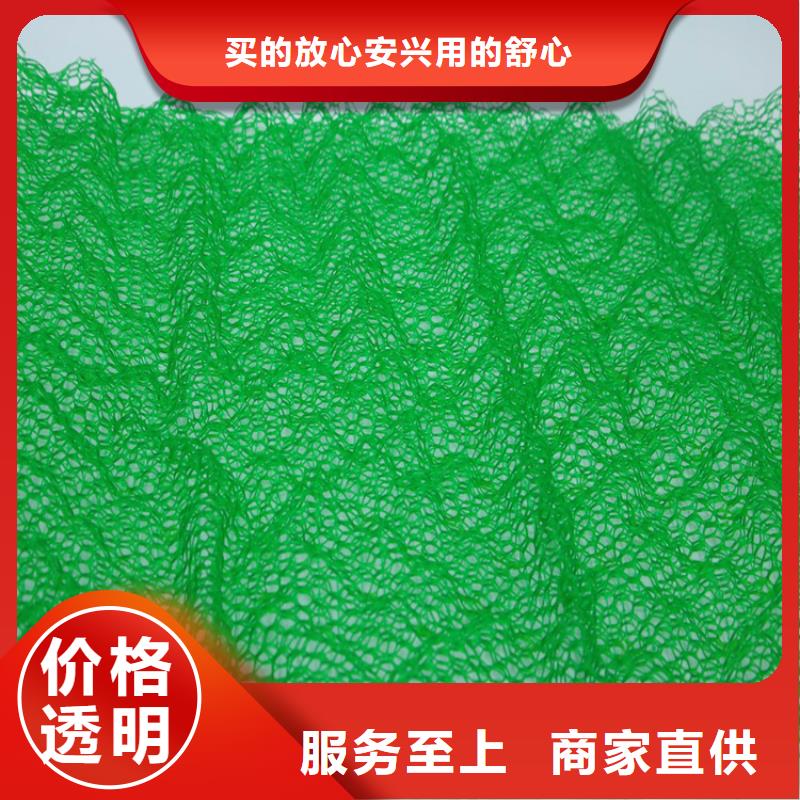 护坡加筋网垫-三维网植草护坡