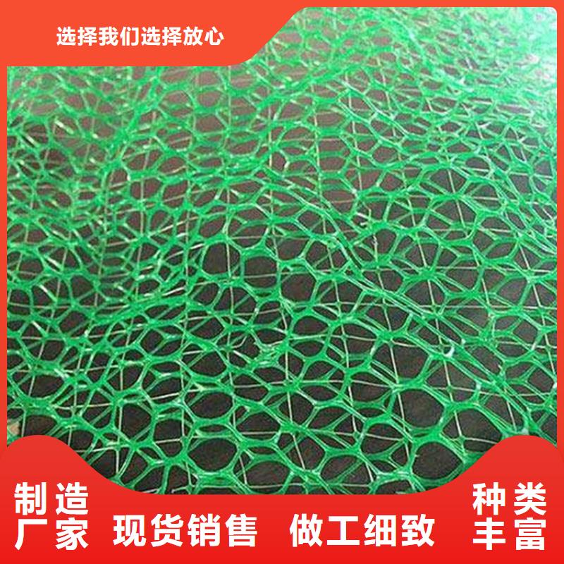 三维土工网垫-护坡三维植被网