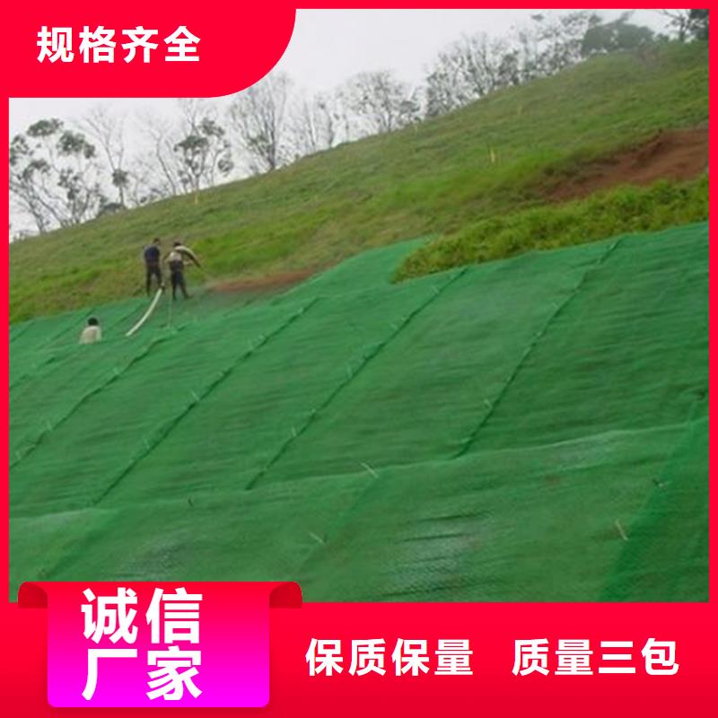 三维固土网垫厂家-施工指导