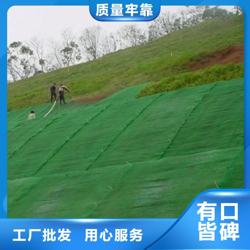三维植被网HDPE土工膜匠心品质