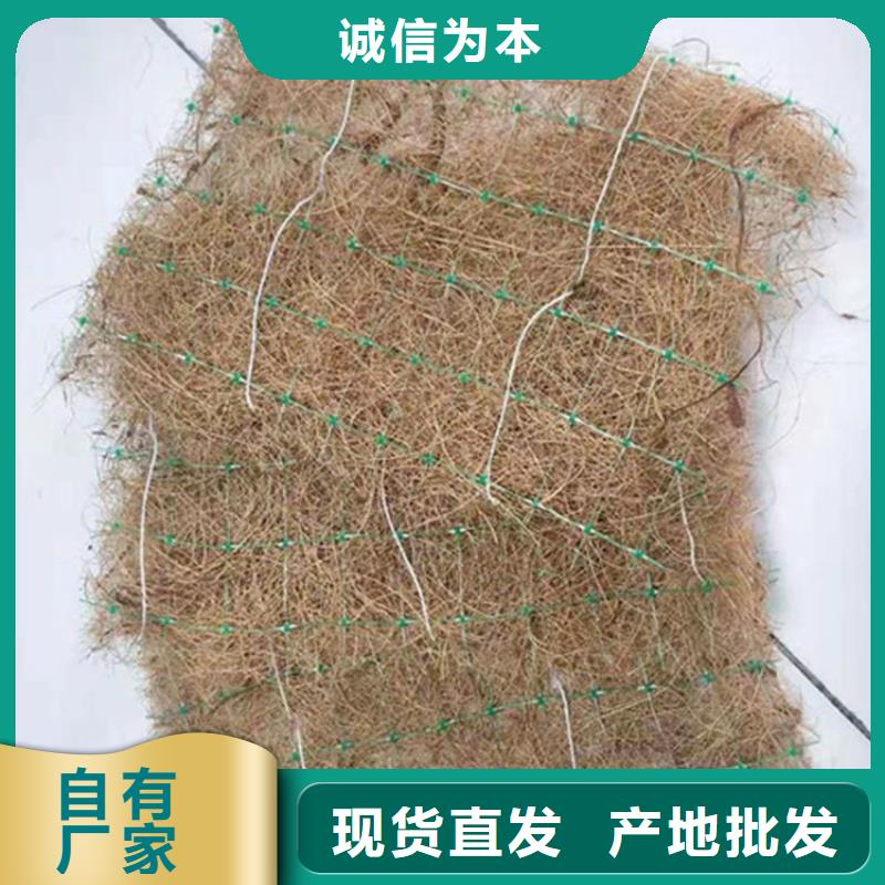 植物纤维毯-环保植生绿化毯-抗冲毯