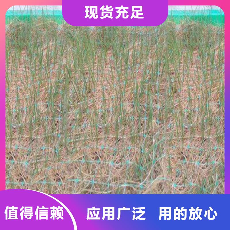 植生椰丝毯