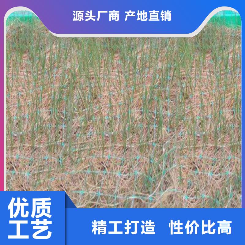 植物生态防护毯本地经销