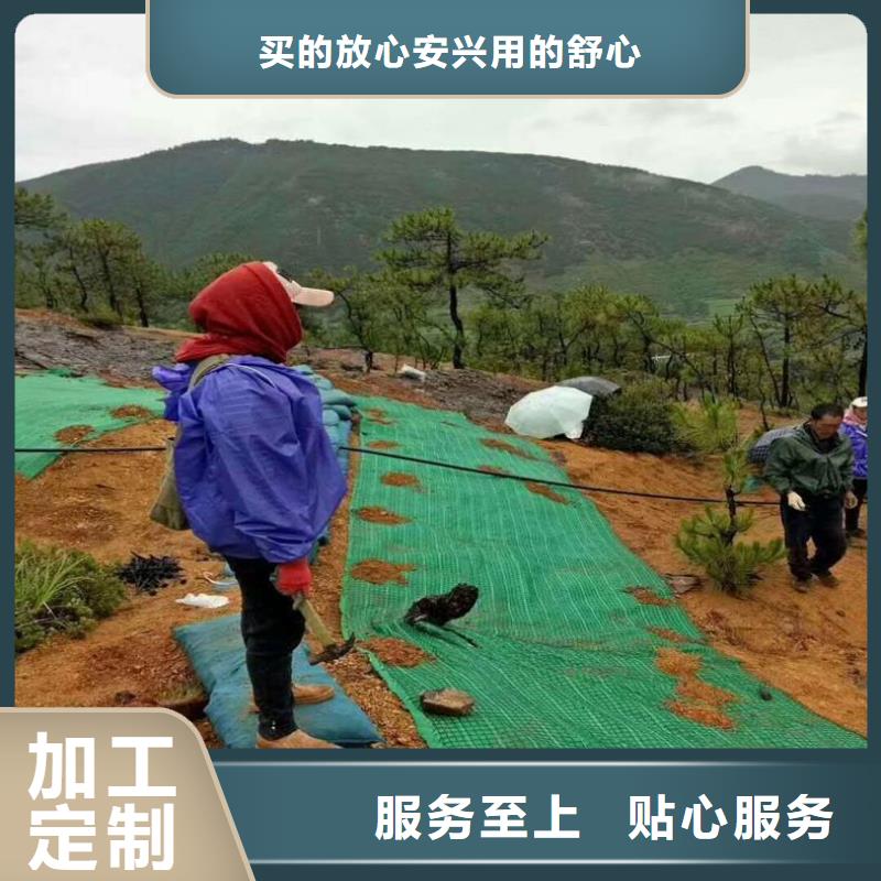 加筋抗冲生物毯-加筋防冲毯-加筋复合生态草毯