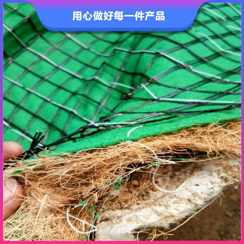 植生椰丝毯-加筋抗冲生物毯-水保加筋植生毯