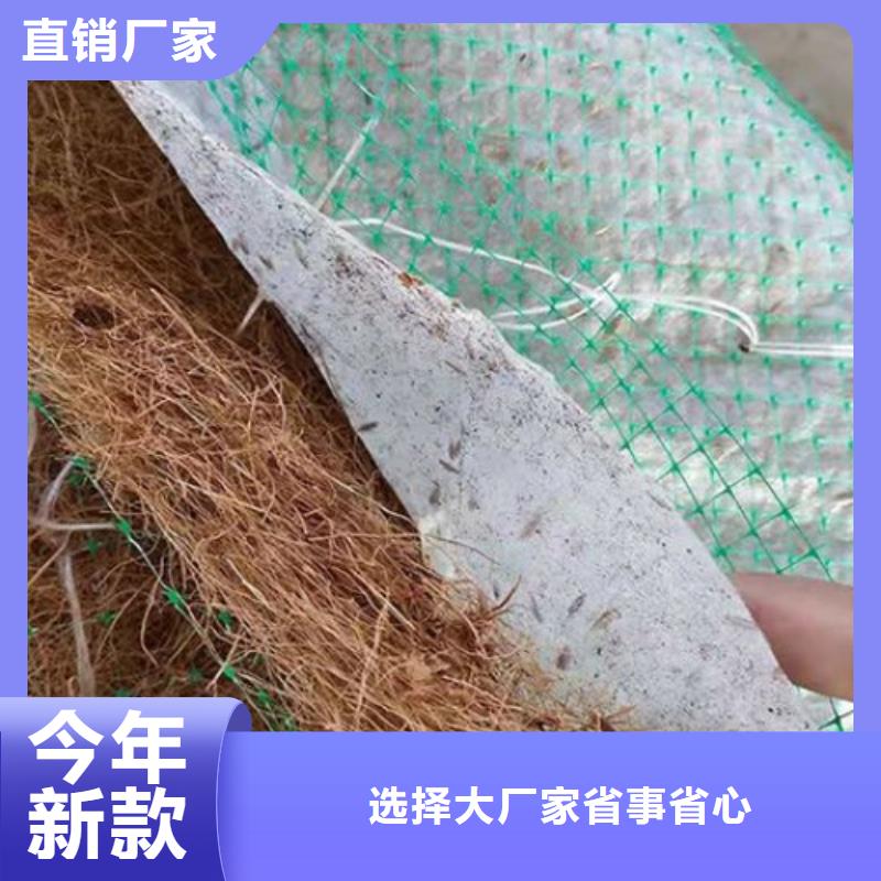 椰纤植生毯-生态环保草毯