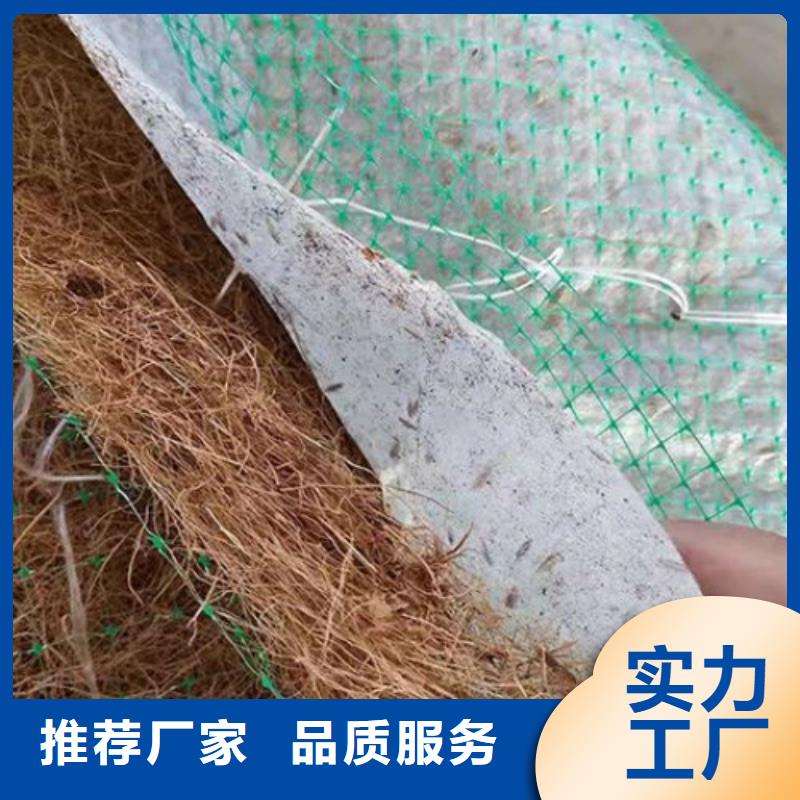 加筋抗冲生态毯-加筋抗冲生物毯-抗冲植物毯