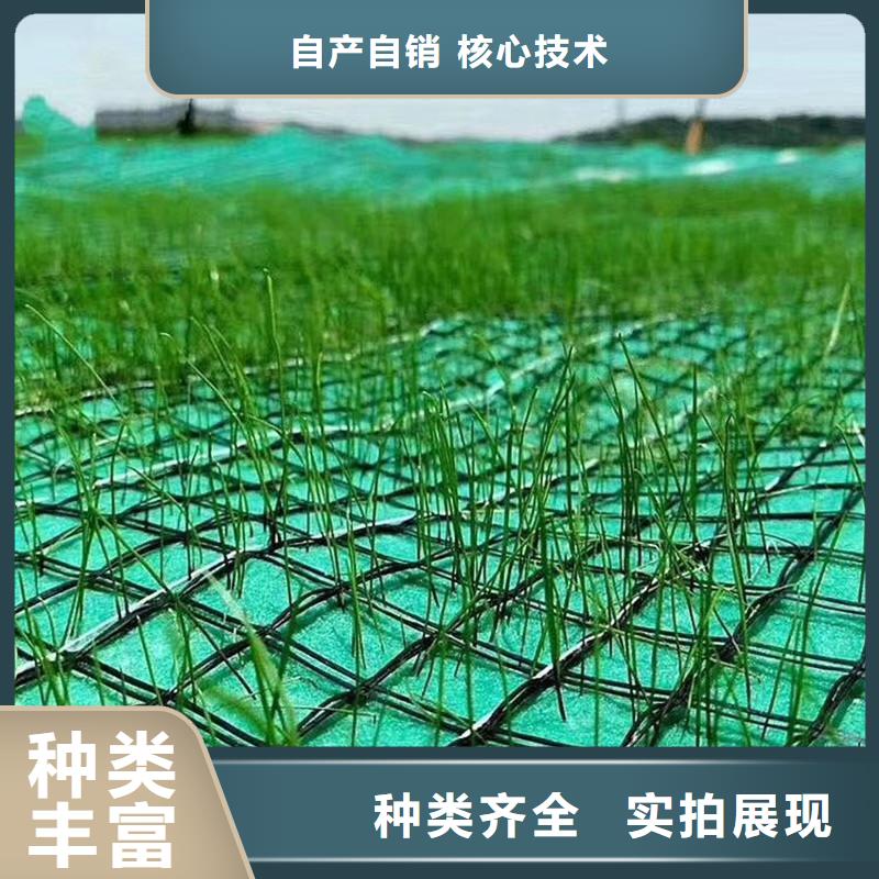 椰纤植生毯